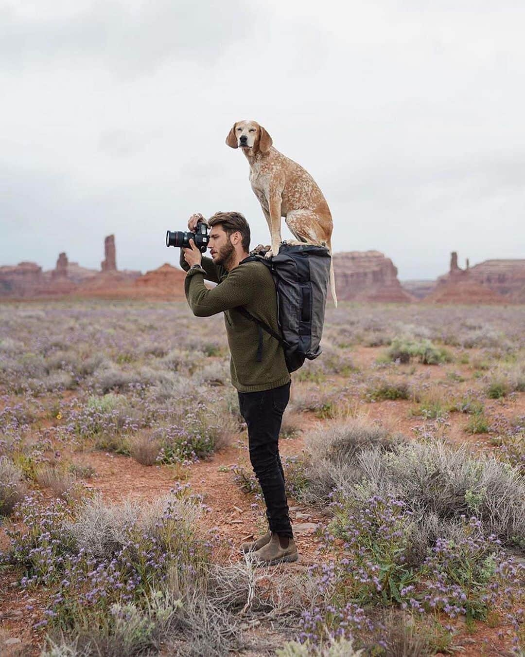 Canon Photographyさんのインスタグラム写真 - (Canon PhotographyInstagram)「Adventures with his best friend!  Photography // @thiswildidea Curated by @steffeneisenacher  #cpfeatureme #dogsofinstagram #dogs #pets #petsofinstagram」8月23日 6時54分 - cpcollectives