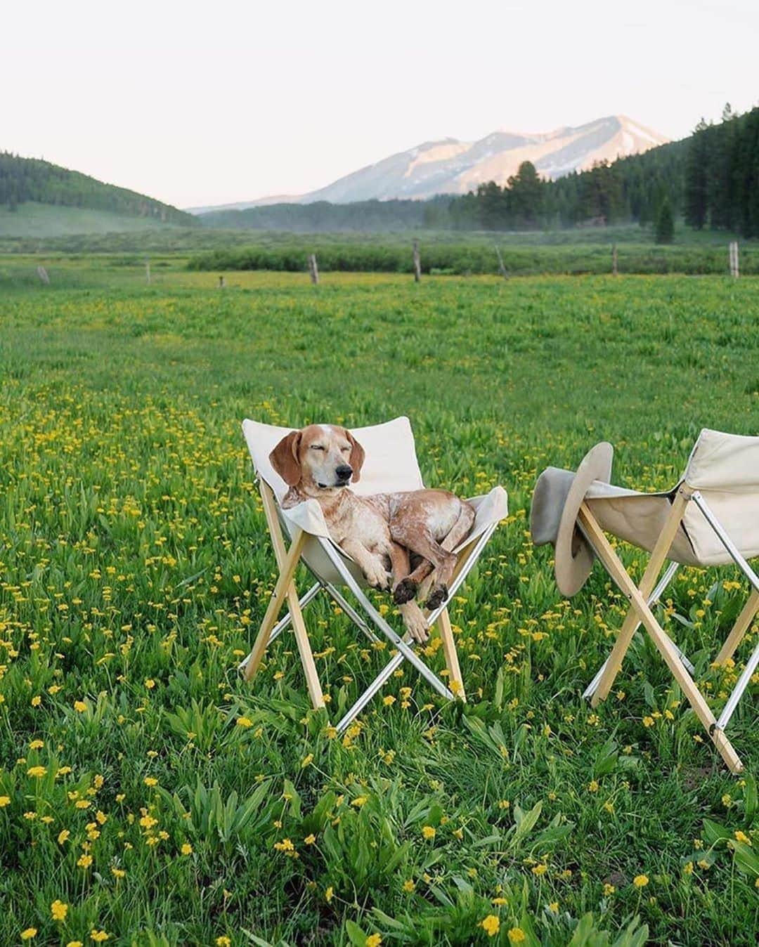 Canon Photographyさんのインスタグラム写真 - (Canon PhotographyInstagram)「Adventures with his best friend!  Photography // @thiswildidea Curated by @steffeneisenacher  #cpfeatureme #dogsofinstagram #dogs #pets #petsofinstagram」8月23日 6時54分 - cpcollectives