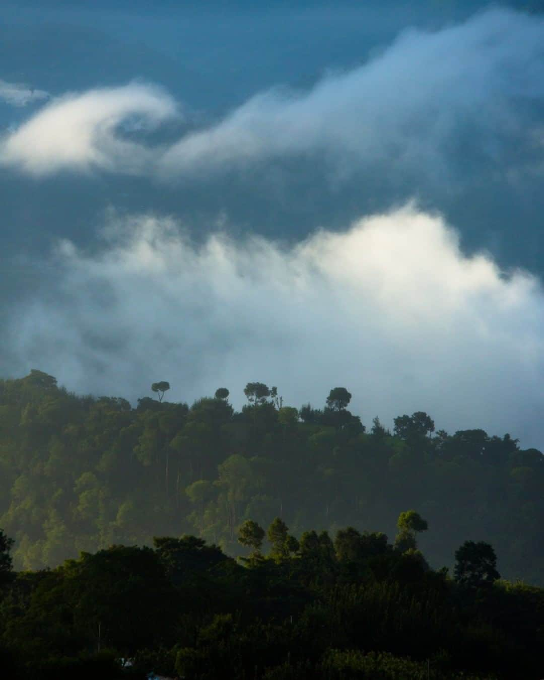 National Geographic Travelさんのインスタグラム写真 - (National Geographic TravelInstagram)「Photo by @emilypolar  In the hills of Dakshinkali during monsoon season, there is a constant show of moving clouds and ever changing light accenting the layers and undulations of the land. It's a display I could sit and watch all day, as I happily did. To see more of Nepal and beyond, follow me @emilypolar. #Nepal #Monsoon #Mountains」8月23日 7時03分 - natgeotravel