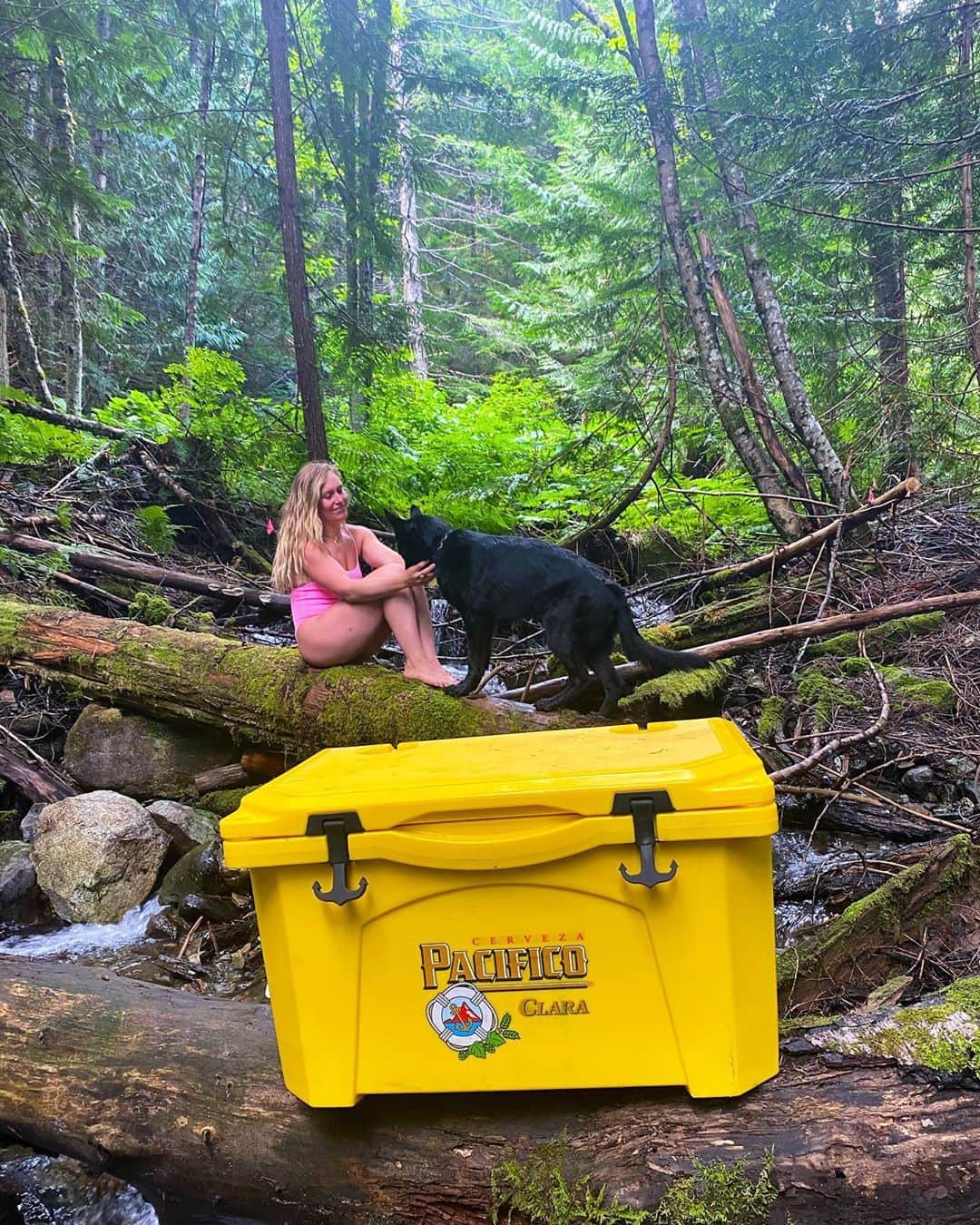 ジェイミー・アンダーソンのインスタグラム：「The outdoors have always been so important to me  That’s why I’m stoked to partner with @PacificoBeer who is protecting outdoor places through its Pacifico Preserves initiative. Together in partnership with @ConservationAlliance, Pacifico is supporting more than 50 organizations that are working to protect North America’s wild landscapes and waterways.   For a chance to win one of these awesome coolers, head to pacificopreserves.com to enter the sweepstakes. Plus, Pacifico will be donating $100,000 to the Conservation Alliance!   #LiveLifeAnchorsUp #sponsored #For21+」