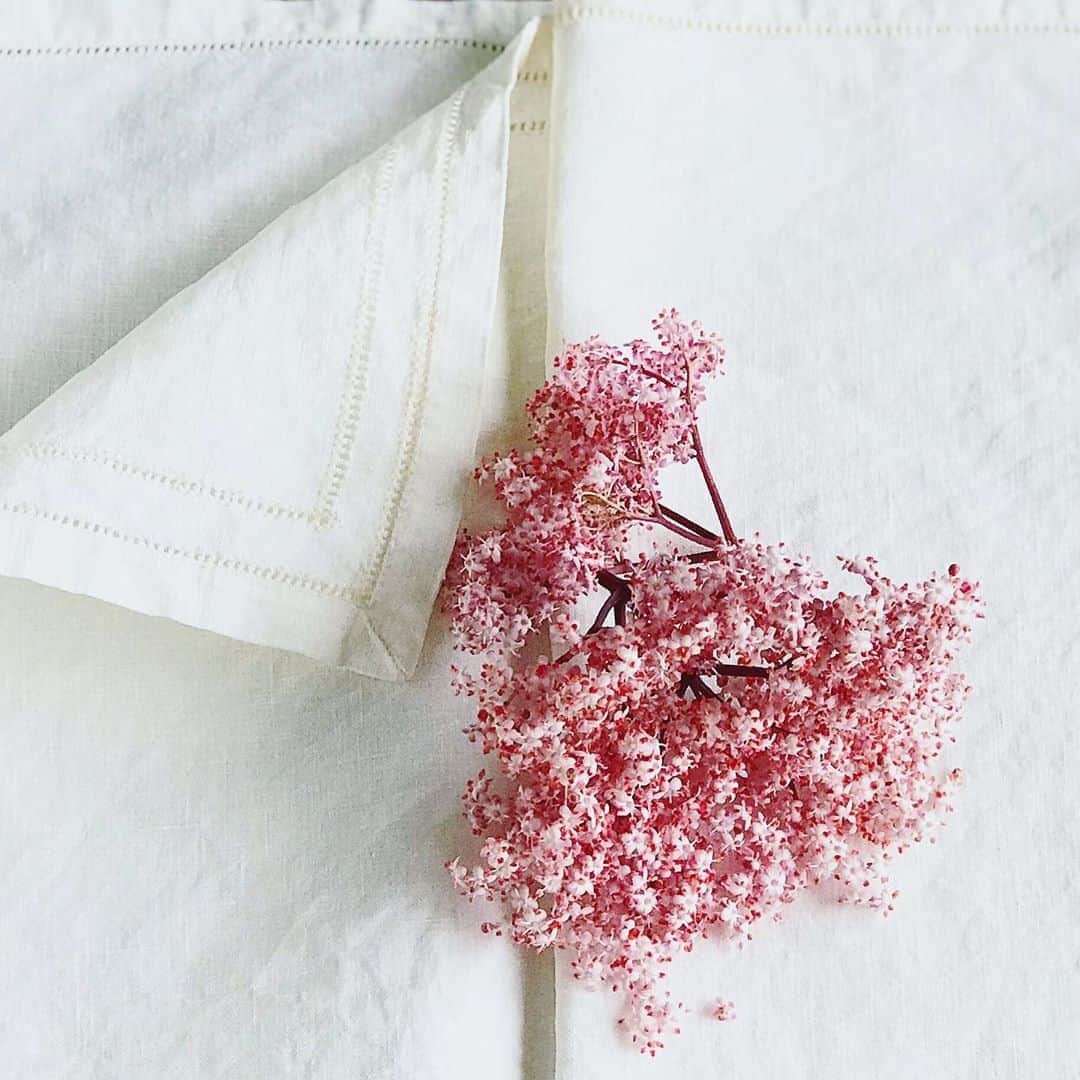 福田里香さんのインスタグラム写真 - (福田里香Instagram)「pink elderflower cordial ４年前から毎年作っている エルダーフラワーの花入りコーディアル。 今年は結構たくさん花が咲いたから 🍋と一緒にビネガーも少々加え 長めに浸けてみました。  例年より濃いピンク色になりました。 そのかわりにかすかに🍋の皮の 苦味を感じる飲み口に。 苦味、好き。 それもまた善し。  たぶん、北欧やイギリスでは 日本でいう、どくだみ草や 北国のアカシアの花並みに 庭木や公園、そこら辺の野原に 生えてるっぽいけど、この国では希少。  かわいい花を捨てるに忍びなく つい、コーディアルに残してしまう。 elderflower snow dome ボトルを振ると可憐に小花が舞います。  #pinkelderflower #elderflowercordial #elderflower」8月23日 8時02分 - riccafukuda