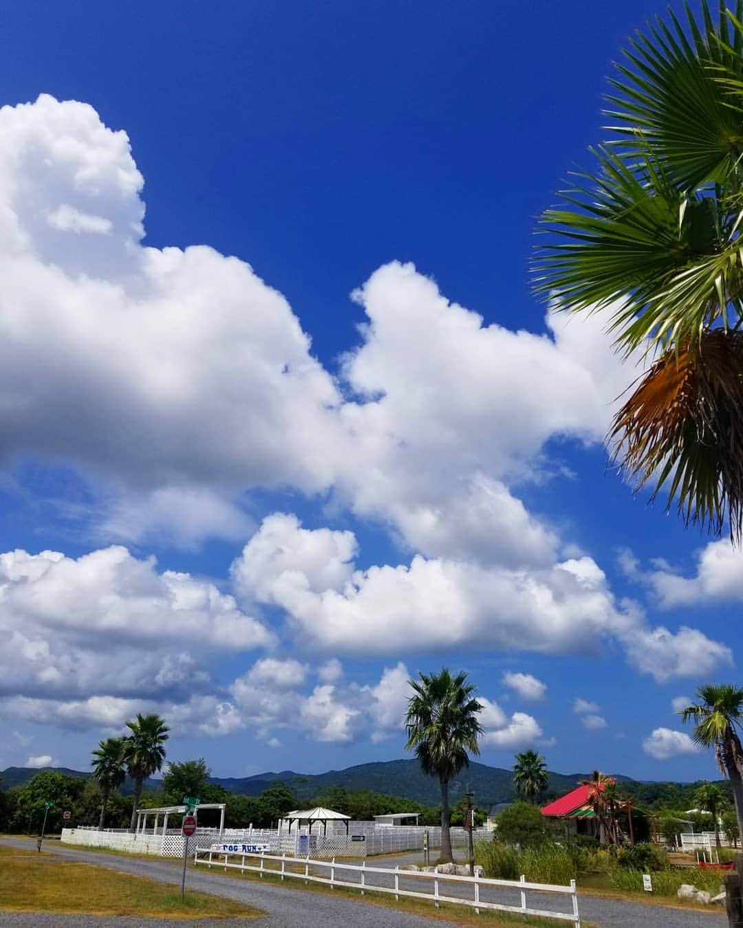 伊勢志摩エバーグレイズのグルメインスタ