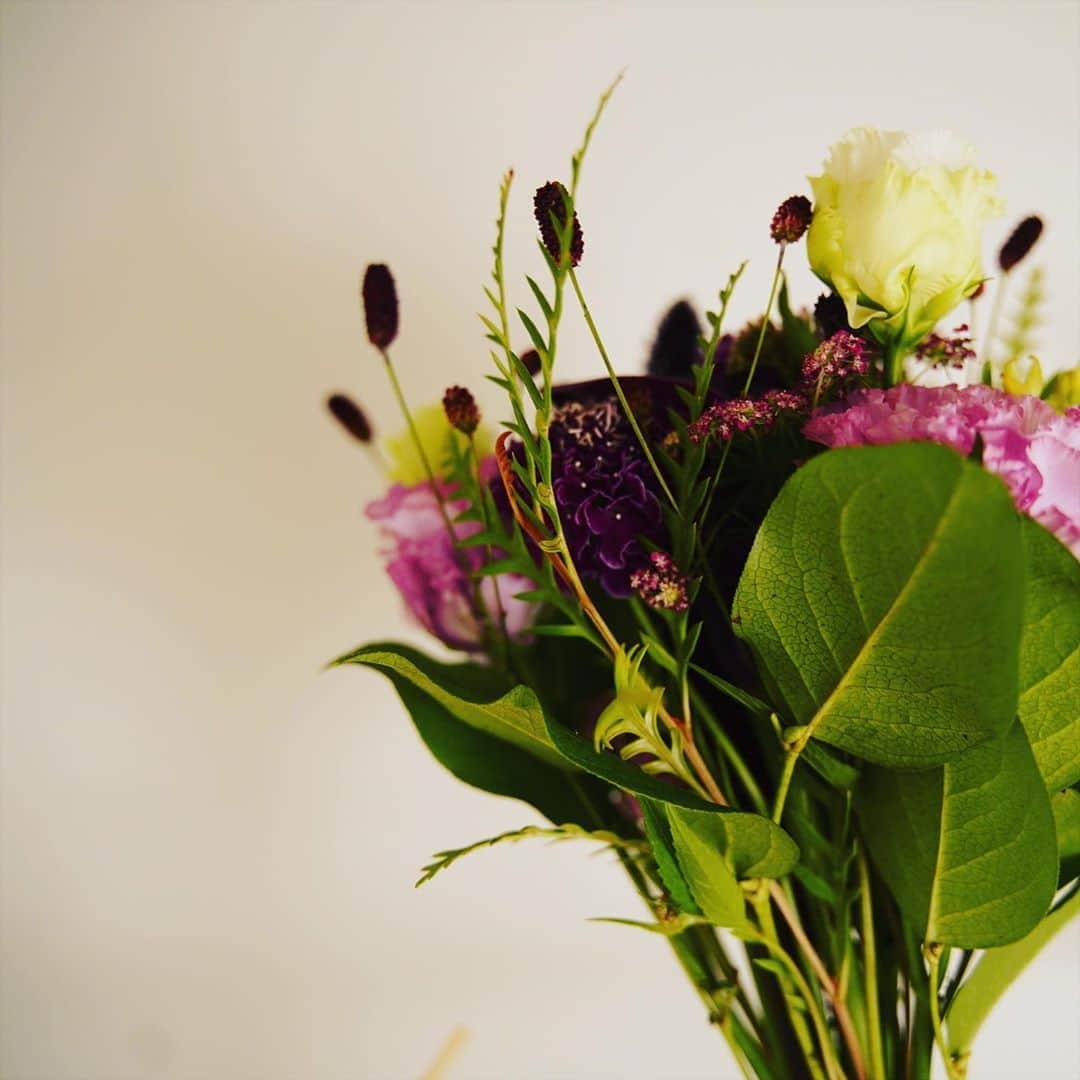 奇妙礼太郎さんのインスタグラム写真 - (奇妙礼太郎Instagram)「#最近 #marilynmonroe  #bycicle  #greenleaf  #1492  #西成清掃協同組合  #flowers」8月23日 9時06分 - reitaro_strange