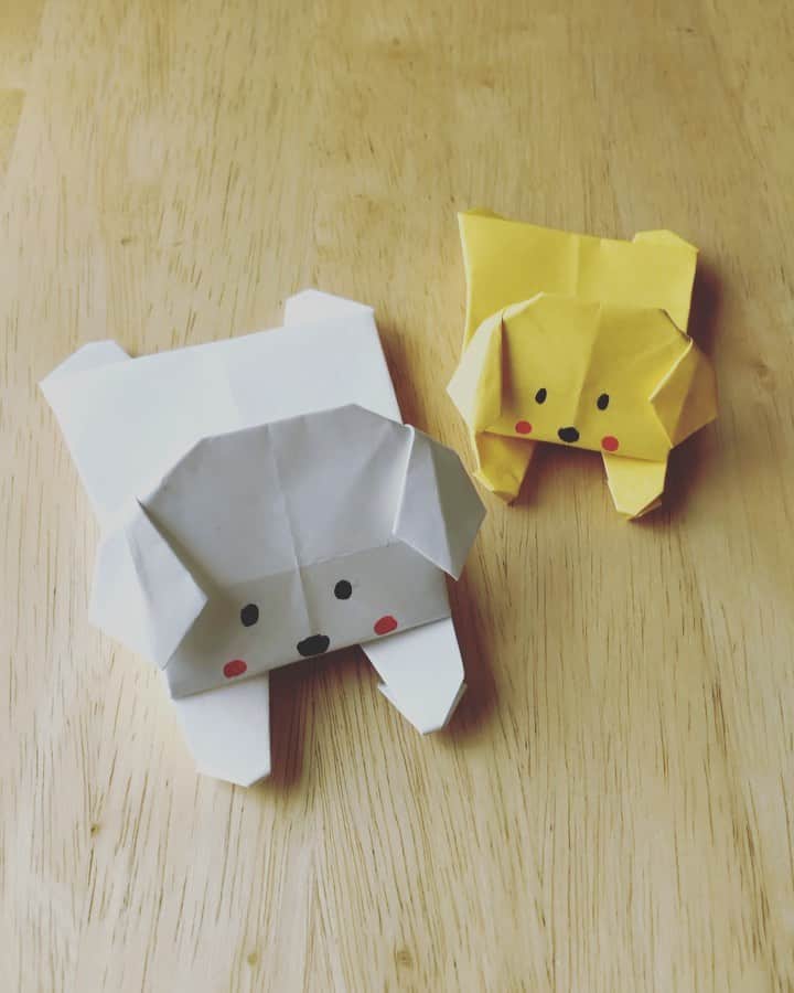 KATのインスタグラム：「Tonight is the last Origami Live Stream! Come and make this cute Dog with @alfa_music and I! 8pm PST link is in the bio. 今日12:00から最後の折り紙ライブストリームをやります！　是非遊びに来てね！　リンクはプロフィールにあります！　 #origamidog #origami #origamitutorial」
