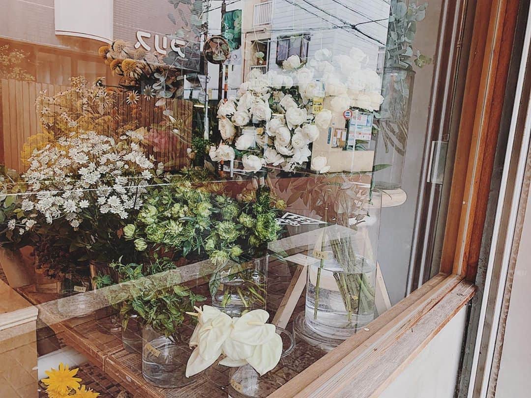 トレフルのグルメインスタ