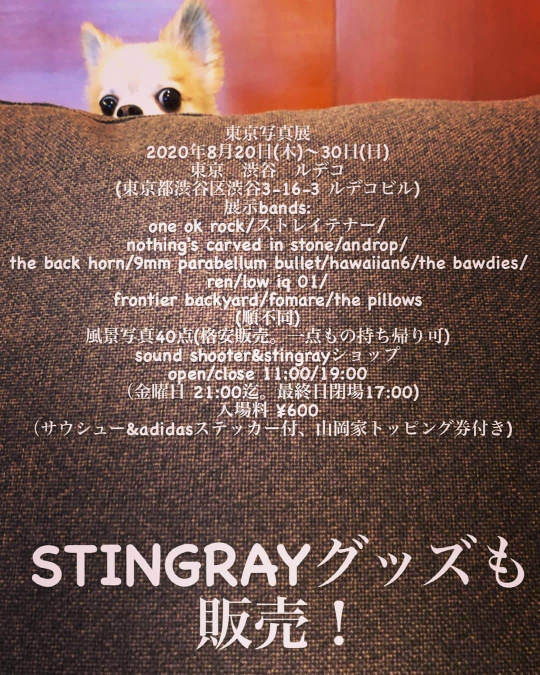 橋本塁さんのインスタグラム写真 - (橋本塁Instagram)「【東京写真展4日目スタート！】 日曜日！19時までオープン！ギャラリールデコ(渋谷区渋谷3-16-3ルデコビル6&5階)にてコロナ感染防止対策して写真展スタート！僕は今日も一日中ずっと居ます！守矢さんのステンシルイベントは13-18時まで！週末でも落ち着いて観れるので是非。 #stingray  #サウシュー　#渋谷　#写真展　#ilastencilservice #守矢努」8月23日 11時03分 - ruihashimoto