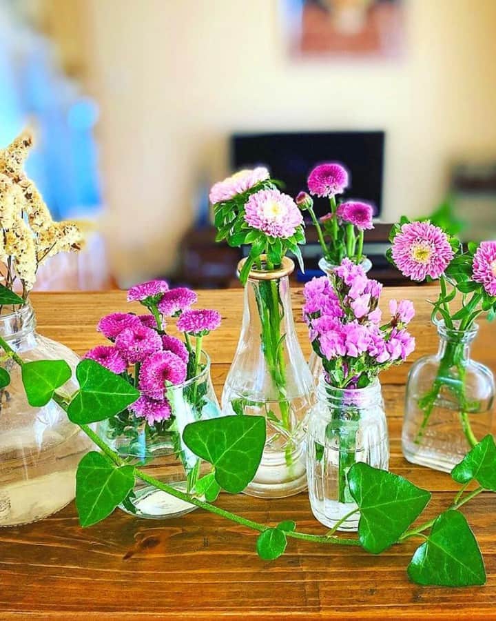 Bloomee LIFEさんのインスタグラム写真 - (Bloomee LIFEInstagram)「ガラスの小瓶を並べてリズミカルに💐⠀ ⠀ お花ごとに花瓶を分けて飾ってくれました🌼⠀ 統一感もでて素敵です♪⠀ お部屋がおしゃれな空間になりそう✨⠀ ⠀ おうちの空き瓶などで試してみてください💐⠀ ⠀ @rekorinrekorin さんのお写真⠀ ⠀ #bloomeelife#ブルーミーライフ#お花の定期便#プチブーケ#サブスク#花のある生活#花好きな人と繋がりたい#おうち時間#花部#花写真#花が好き#花を飾る#暮らしを楽しむ#日々の暮らし#丁寧な暮らし#日々#お花のある暮らし#素敵な休日#暮らしを整える#くらしのきほん#日々の暮らしを楽しむ#丁寧に暮らす#おうち時間#インテリアフラワー#ナチュラルインテリア#豊かな暮らし"」8月23日 11時53分 - bloomee