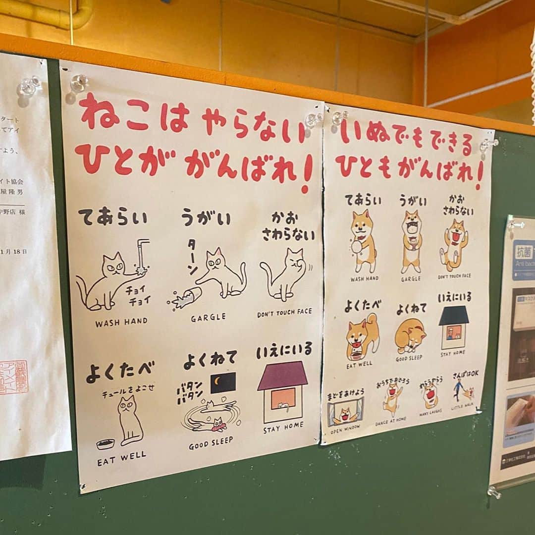 みずしな孝之のインスタグラム：「あのイラスト実際に貼って頂いてるお店に はじめて出くわしました！ ポカタコス中野店さん！ありがとうございます！ チキンのタコスむちゃくちゃおいしかったです！ （食べ終わってから気づいたので料理写真なし）」