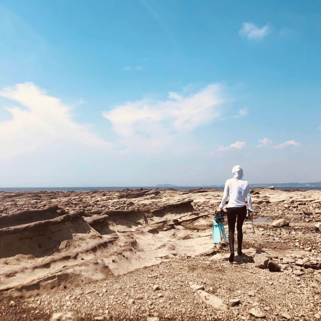Hiroe Hiranoさんのインスタグラム写真 - (Hiroe HiranoInstagram)「干潮のタイミングに、﻿ 葉山の沖にある小島を目指して泳ぎました🏊‍♂️🤿﻿ ふもとの浜辺にはわんさかの人でしたが、 ここの浜、誰もいなかった✨ 水の中に入ると、ほんと無になれる。﻿  #meditation #mindfulness  魚も太陽の光でキラキラしてた🐠﻿ フィンがあるから、﻿ 進むのもスイスイ気持ち良い🌟﻿  旦那は人生の冒険チーム✌️ よくWe are explorers って言ってます。 ﻿ 夕方からは、ご近所さんたち交えた バーベキューに参加させてもらえてまた至福タイム☺️﻿ 星も綺麗だったし💫、子供たちも可愛いし。 ﻿ 葉山仲間たちのおかげで充実🌟﻿ ﻿ 美味しーたのしー﻿ ごちそうさまでした❤️﻿ いつもありがとう😊﻿ ﻿ 夏の日の思い出2020🌞🌻🌈﻿ ﻿ #葉山　#hayama ﻿ #明日も朝から仲間たちと潜るよ😂」8月23日 21時46分 - hiroe_hirano