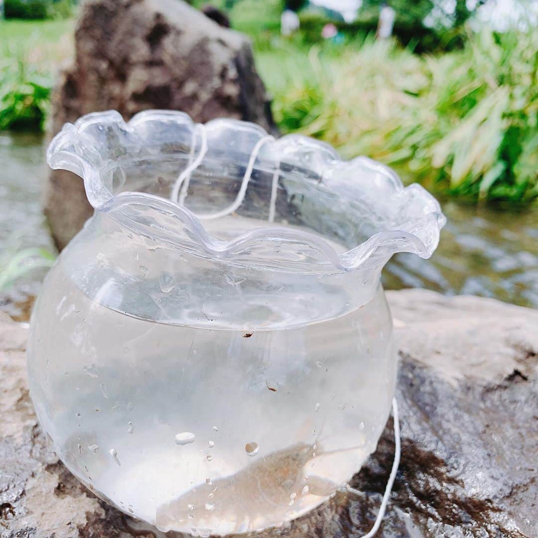 のインスタグラム：「2020年夏。 生まれて初めてザリガニ釣りをしました🎣 その辺の枝にえびせんつけて垂らして釣れるもんなのか… ・ セミ取りもちょっと参加したママでした👩 #息子との夏の過ごし方#どうしても日焼けしちゃうよね#ママ、どんどんたくましくなっちゃう」