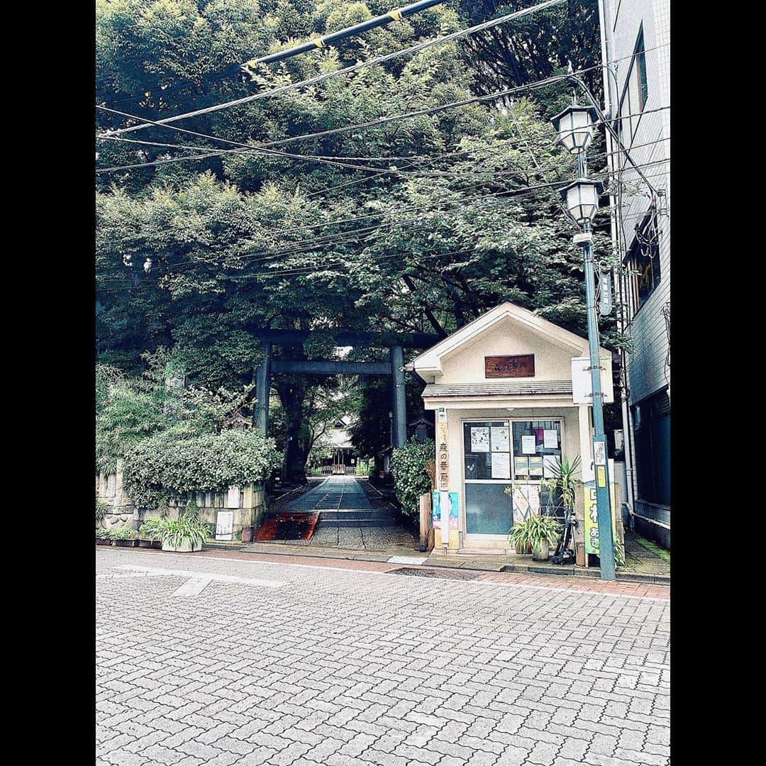 平祐奈さんのインスタグラム写真 - (平祐奈Instagram)「ときわ台 天祖神社⛩  森の番所のお隣に鎮座する神社さん。  外からみた感じはかわいらしい佇まいで鳥居を潜ると神聖な空気が流れていて氏子の皆様に愛されているなとすぐに解るくらい清らかな気持ちになりました。  中世の頃に行われていた歌占をこの時代にも体感出来るなんて…✨ 今の自分に大切な神様を教えてくださるんだとか、、！  私は芸能の神である天宇受売命でした！嬉しい。。。  歌占をなさっているのはときわ台 天祖神社さんだけみたいなので、神社好きの方にはぜひ1度訪れて頂きたいです…！  歌占をしてから今まで参拝した神社を振り返ってみると納得する部分も多々ありました。  御朱印には文人 大田南畝が描かれています。 御神木は柊でした🌿  雨は心も清めてくれている気がします🕊 #ときわ台天祖神社 #祐奈の神社日記  #御朱印」8月23日 22時19分 - yunataira_official