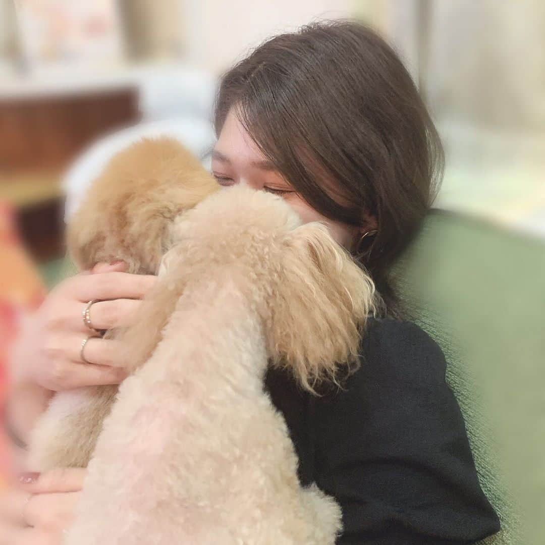 竹内朱莉さんのインスタグラム写真 - (竹内朱莉Instagram)「中野サンプラザ2日目ありがとうございました！ 今日のMCは @maimiyajima_official_uf  さん！ この前我が家の愛犬を連れて矢島家にお邪魔しました〜🙋‍♀️🐶 久しぶりにコロン、アロマ、トワレに会えて癒された〜😌✨ 座った瞬間犬達が駆け寄って来てくれました🐶😂 メロンとアロマは兄妹、コロンは2匹のお母さんなんです🐶 トワレはお友達かな☺️  #アンジュルム　#helloproject #ハロコン　#中野サンプラザ #竹内朱莉　#矢島舞美　#兄妹　#家族　#犬　#可愛い　#癒し」8月23日 22時21分 - akari_takeuchi.official