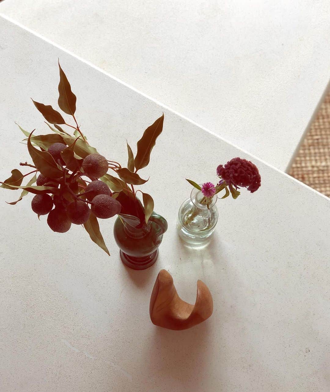 のインスタグラム：「8月23日　処暑。（しょしょ）  いっきに涼しくなった。  夏が終わるのは寂しいけど、あの暑さはもう嫌だよ...。」
