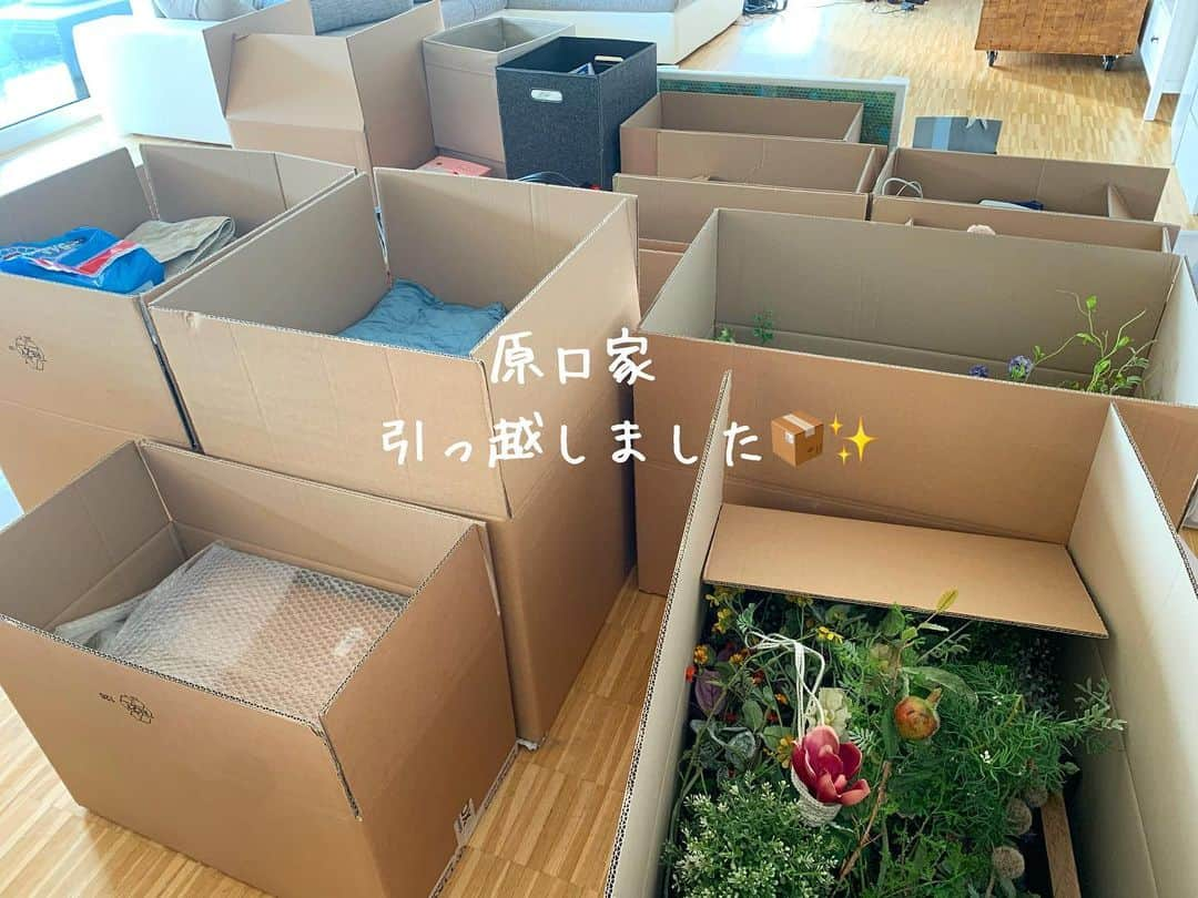 原口るりこさんのインスタグラム写真 - (原口るりこInstagram)「. . 久しぶりの投稿です🌿 . ストーリーでは お伝えしていますが . . . 原口家 引っ越しました🌳✨ . . ドイツ生活ではじめての 一軒家です🏡 . 古くてかわいいお家で、 お隣さん家までは5分くらいかかります😂 . その先のご近所さんへは 車で行く距離… . そんな静かな牧場が多い地域です🏡✨ . . 今回の引っ越しは 【犬と過ごす最高の暮らし】を 追い求めた結果でした🐕🌿 . . . 新しいおうちは とにかく庭が広い！✨ そしてとっても古いタイプですが プールがあり、 お家には暖炉もあります🥰 . . わぁ素敵！と思った後に少し 想像してみてください🙂 ★この庭の草刈りは何日かかるのか、そしてその頻度は… ★古いプールは週に1度の掃除が必要で底は機械ですが、側面は手作業です… ★お家は三階建て、犬2匹、床掃除だけでどれだけかかるか… まだまだあります、 庭の花壇の手入れ、窓の掃除、落ち葉の季節、虫との戦い、、、 、、、きっとまだまだある…😏 . . . これから 忙しくなりそうです🤣 . . 原口家のドイツ生活は これから新たに いろいろな物語が生まれそうです☺️ . . . #奮闘記もお楽しみにw . #ドイツ生活を犬と楽しむ #犬との最高の暮らし方を求めて #利便性<犬との時間 . . #ドイツ生活 #不便を楽しんでしまおう #それにより生まれる経験 #その経験が生み出す家族の物語🌿 . #宝物 . . .」8月23日 14時23分 - ruriko_haraguchi24