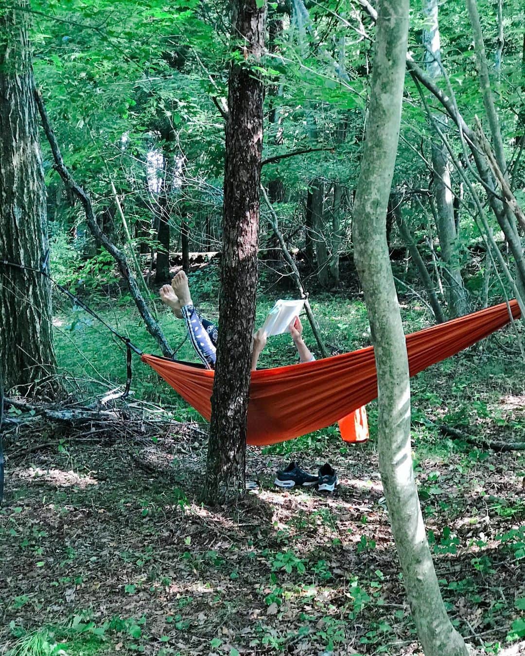 SHOCOのインスタグラム：「#cottagecore #countryside #countrylife」