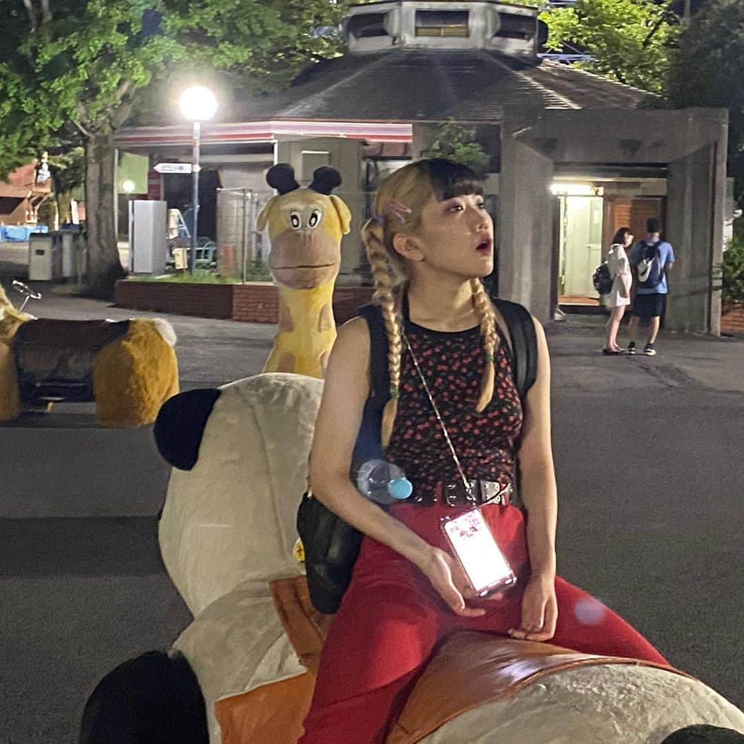 佐藤そるとさんのインスタグラム写真 - (佐藤そるとInstagram)「キリンの圧ヤバ🦒」8月23日 16時24分 - soruto154