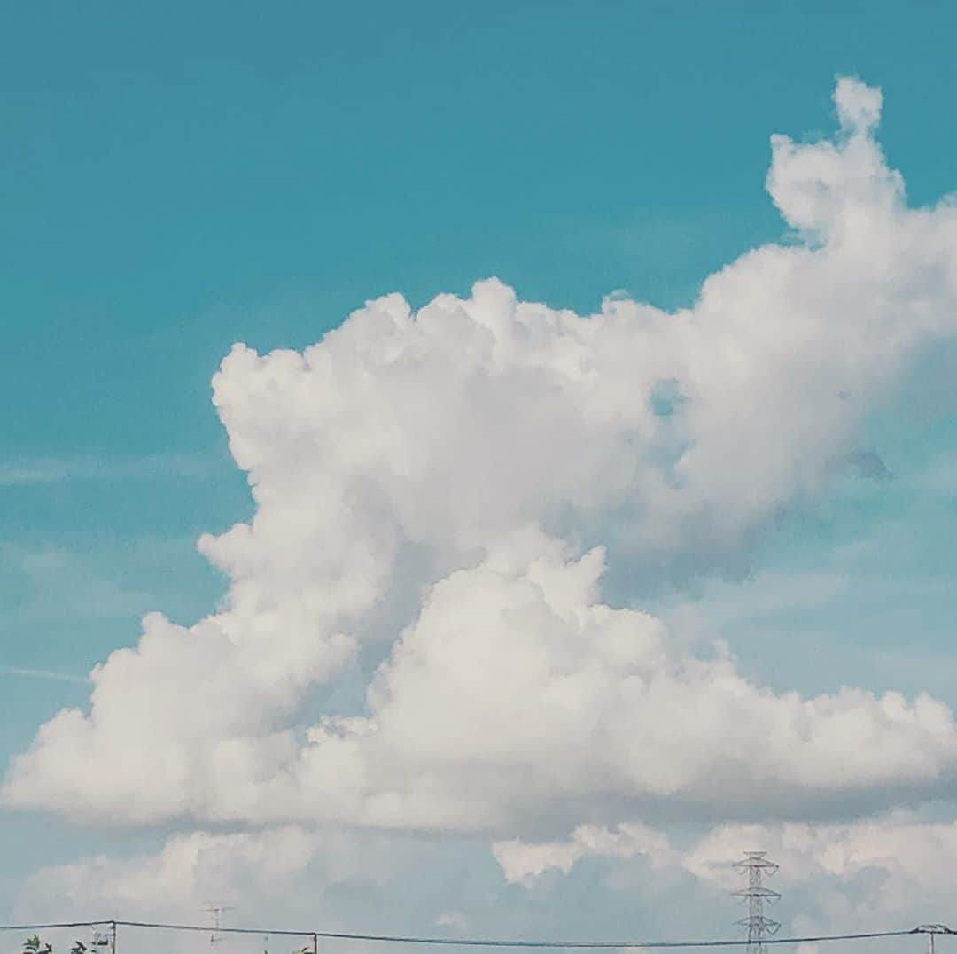 津野直哉さんのインスタグラム写真 - (津野直哉Instagram)「夏雲日記」8月23日 16時33分 - naoya_b_g