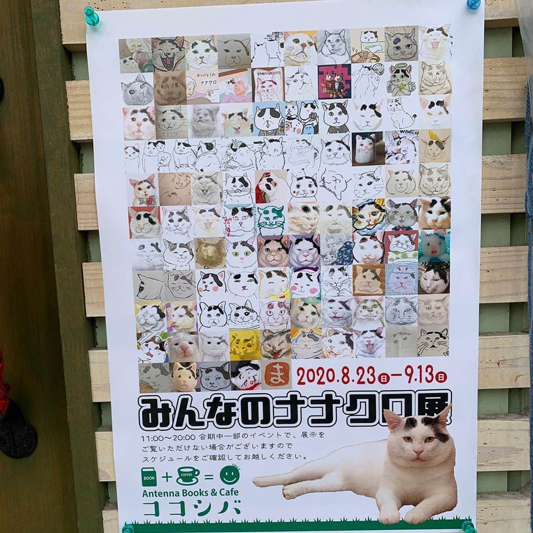 Kachimo Yoshimatsuのグルメインスタ