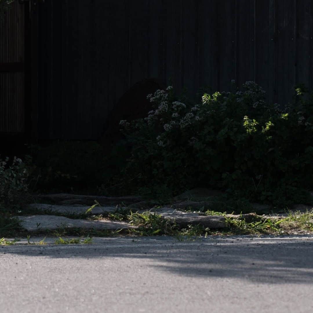 ヒラハルのグルメインスタ