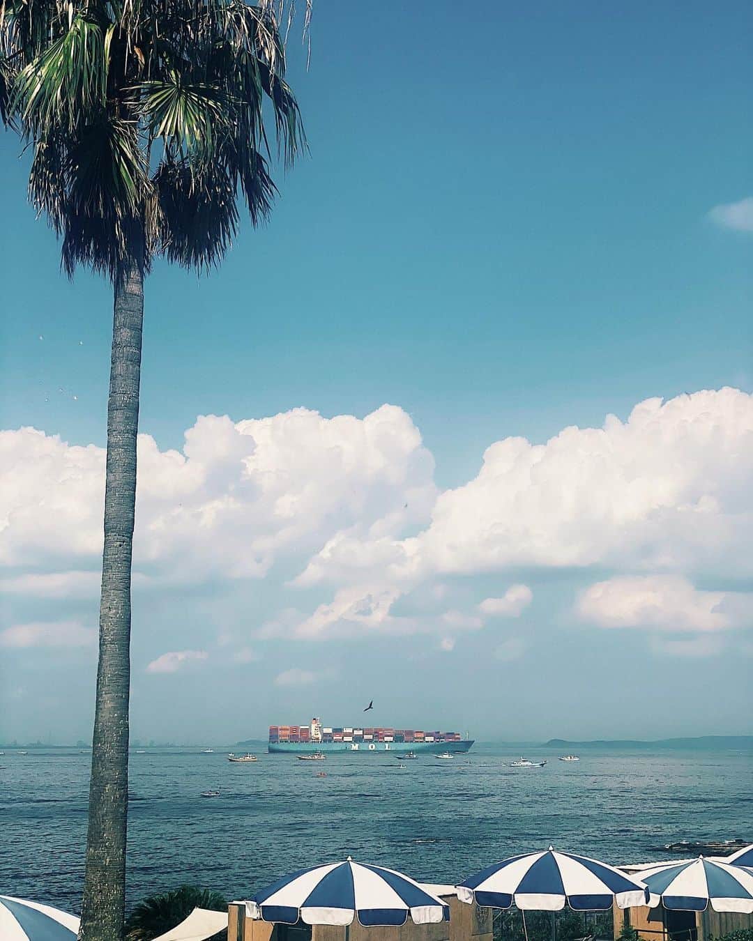 茉莉さんのインスタグラム写真 - (茉莉Instagram)「真夏の38度。🌴 . . . #それでも#夏の海が好き#夏休み#みんな何してるの #🚢#🌊」8月23日 18時12分 - mari._xx