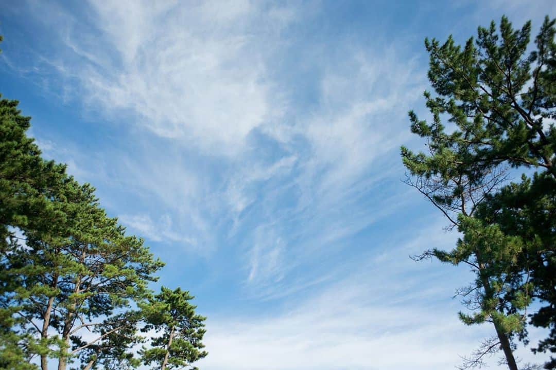 指帆亭のグルメインスタ