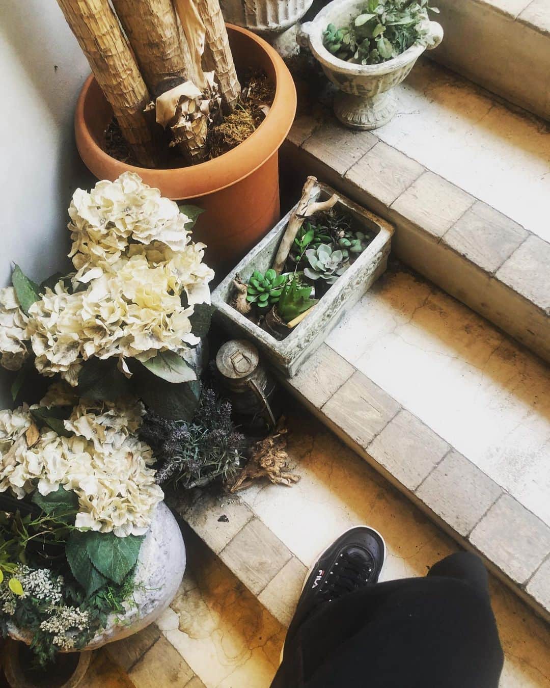 矢吹世奈のインスタグラム：「💐🌱🤎🤍🖤」