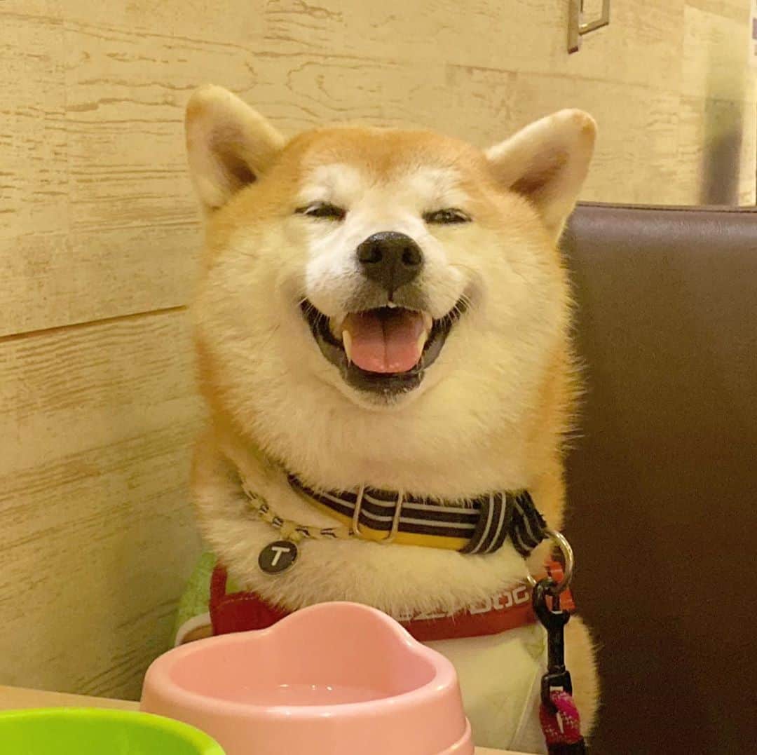 てんパパのグルメインスタ