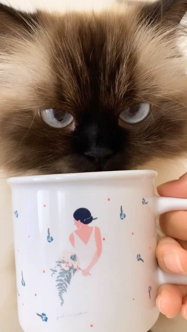 plumeのインスタグラム