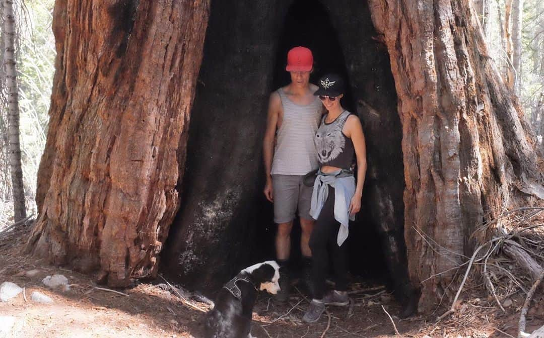 ライアン・ダニエル・ドブソンのインスタグラム：「Sorry my feed is tree-centric recently. I’m still astounded by these giant sequoias. Walking through a grove feels like being on another planet. I’m astonished by these 2000 year old giants, what they’ve survived, and how tiny I am by comparison.  Also, the word “sequoia” uses every English vowel. Cool right? #nerd」