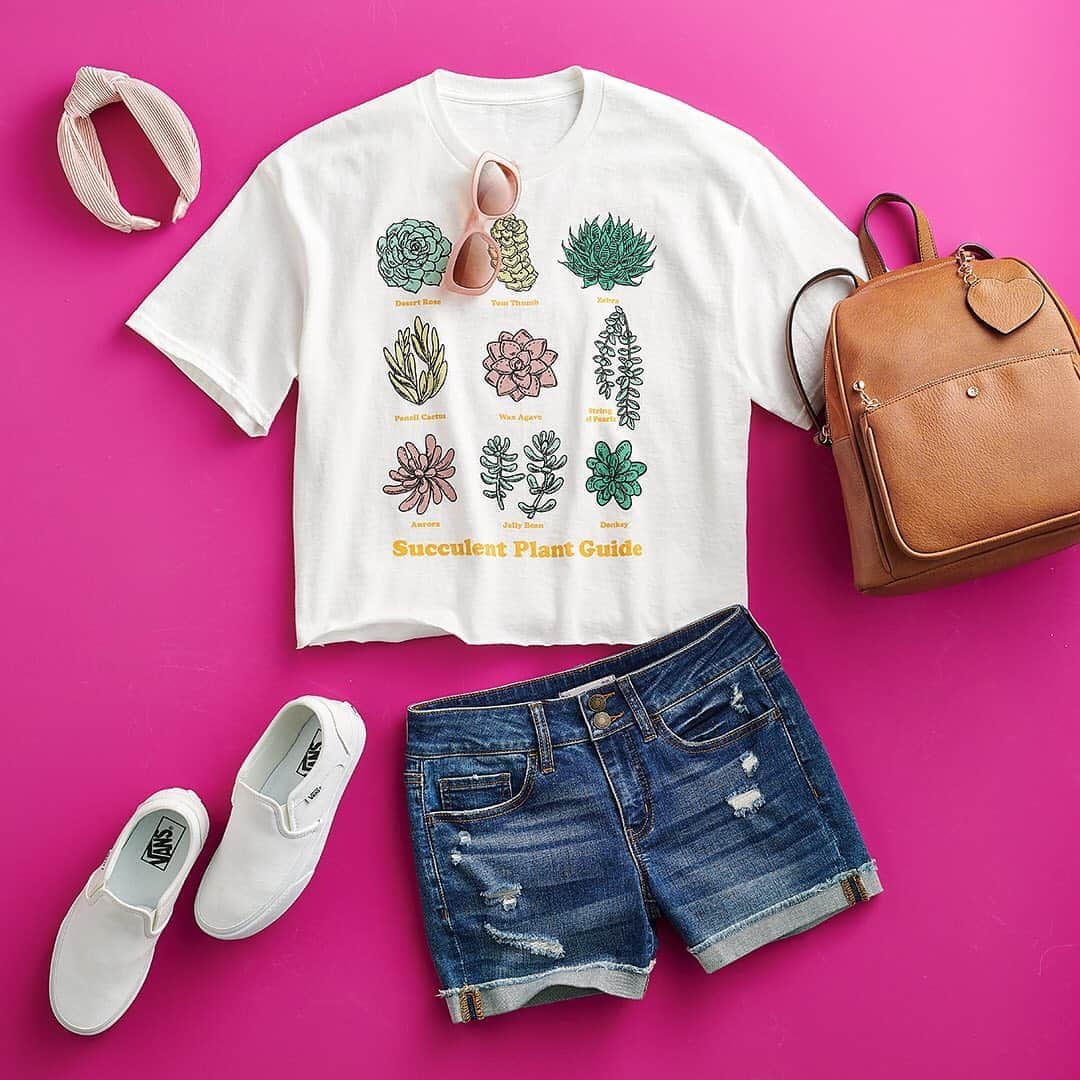 ロック&リパブリックのインスタグラム：「Plant lady comin’ through. 🌿🌵🌱 Tap to shop your new favorites. #Kohls」