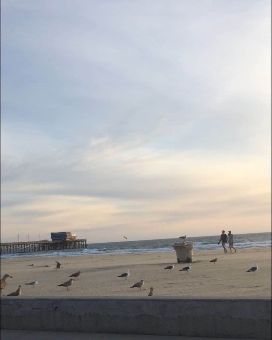 ラリー・ギリアード・Jrさんのインスタグラム写真 - (ラリー・ギリアード・JrInstagram)「What I love about this random, poor quality video I shot. 1) I love that the seagulls have all landed to face the sunset. Never noticed that they do that. I wonder why? 2) I love the one seagull hovering in place for a few seconds. SKILLS! 3) I love the couple strolling the beach because I’m a hopeless romantic. 4) I adore the pigeon, who either thinks it’s a seagull or is a spy! Haha! But the thing I love most is...5) The regal seagull standing on top of the trash can instead of in the sand with everybody else. Why?...BECAUSE THAT’S ME YO!!! 💪🏾😁👍🏾 (My brain: “You are so ‘THAT PIGEON’ Lawrence and you know it.”) Hahaha!!!」8月23日 23時22分 - thereallgjr