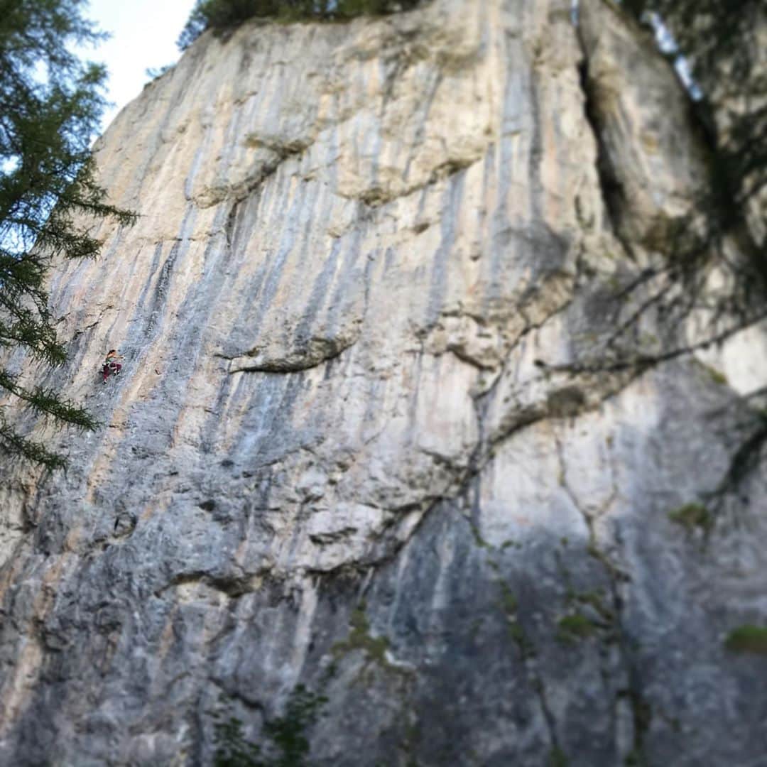 アンナ・シュテールさんのインスタグラム写真 - (アンナ・シュテールInstagram)「Diversity is what I love about climbing. Every hold, every move and every route is different. There are so many climbing areas which require various climbing styles. That’s why I love to discover new crags such as Laste, a sport climbing crag in 🇮🇹 .  • @salewa @lasportivagram @innsbrucktourism @wildcountry_official」8月24日 0時29分 - anna_stoehr