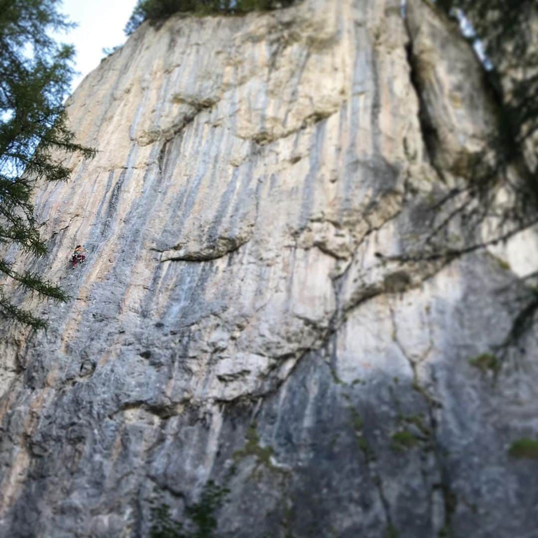 アンナ・シュテールさんのインスタグラム写真 - (アンナ・シュテールInstagram)「Diversity is what I love about climbing. Every hold, every move and every route is different. There are so many climbing areas which require various climbing styles. That’s why I love to discover new crags such as Laste, a sport climbing crag in 🇮🇹 .  • @salewa @lasportivagram @innsbrucktourism @wildcountry_official」8月24日 0時29分 - anna_stoehr