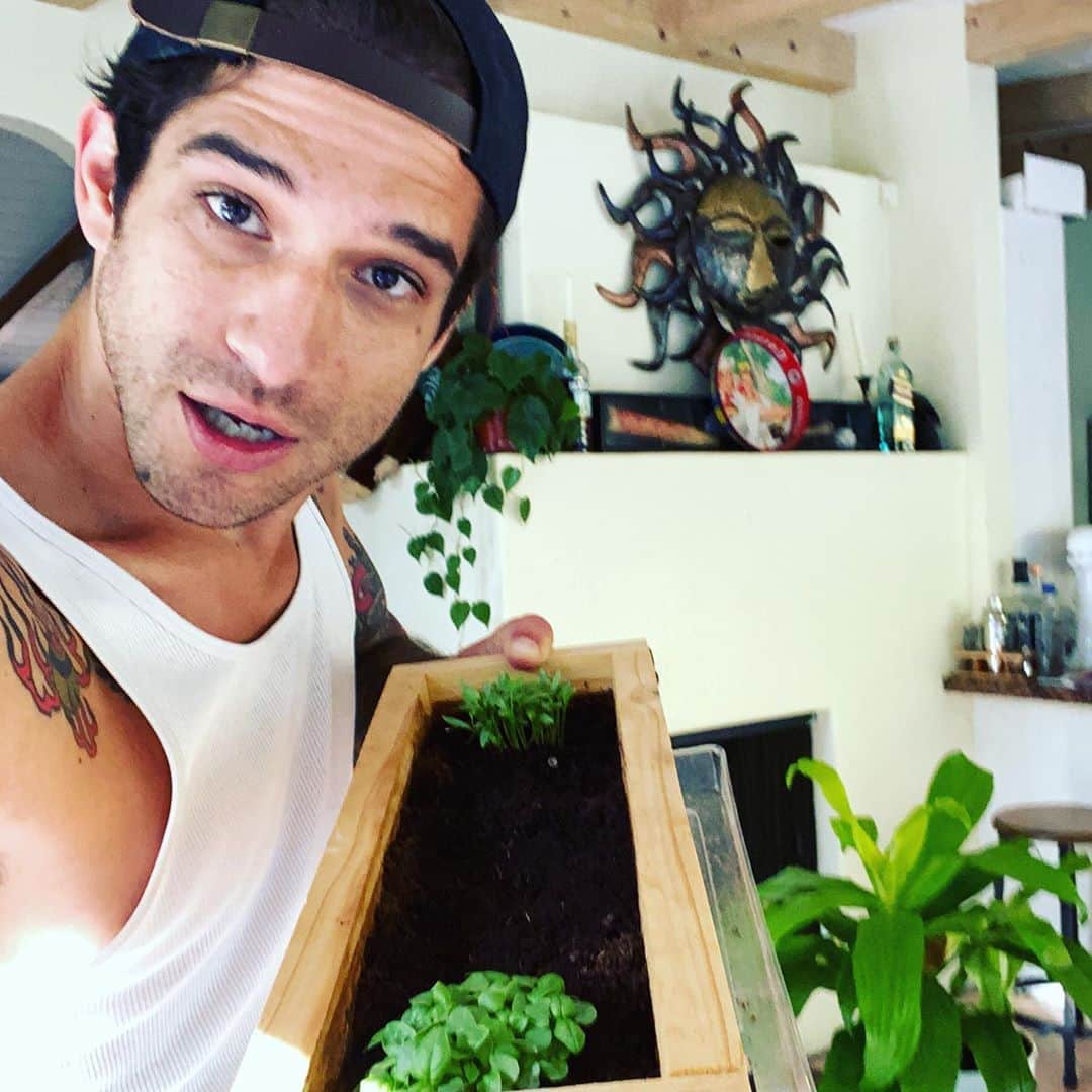 タイラー・ポジーのインスタグラム：「First time trying to grow something that isn’t weed. Cilantro basil and oregano. So far so chill」