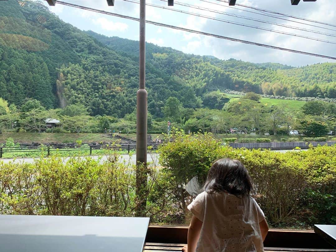 荒木麻里子のグルメインスタ