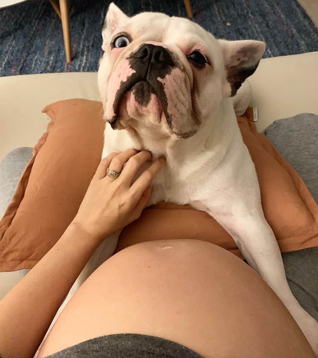 ステファニー・ブリットのインスタグラム：「O maior grude dessa pança... 🥰🤗」
