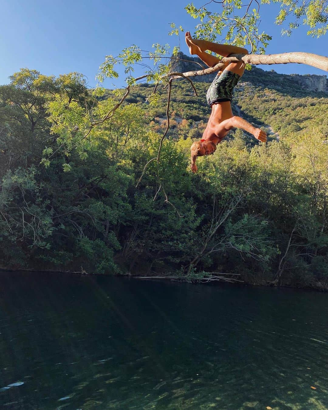 ケビン・マイヤーのインスタグラム：「🐒🌿💧」