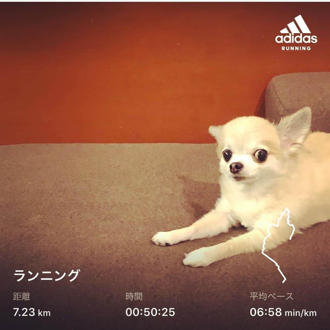 橋本塁さんのインスタグラム写真 - (橋本塁Instagram)「おはようございます！朝ラン終了！ 今日かなり涼しくて走りやすかったです！ 心身共に健康で 東京写真展5日目！11-19時。  #stingrun #朝ラン #玉ラン #adidas #adidasultraboost  #run #running #ランニング　#心身ともに健康に  #ポルカ」8月24日 8時12分 - ruihashimoto