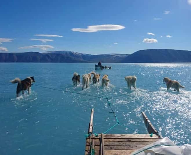 グレタ・トゥーンベリさんのインスタグラム写真 - (グレタ・トゥーンベリInstagram)「”The level of ice loss revealed by the group matches the worst-case-scenario predictions outlined by the Intergovernmental Panel on Climate Change (@ipcc )”  Earth has lost 28 trillion tonnes of ice in less than 30 years.   Stories like these need to dominate the news if we are to have a chance of avoiding the worst case scenarios of the climate crisis. As long as we don't #FaceTheClimateEmergency and treat the crisis like a crisis no real change will happen.  Link in bio. 📸: Steffen Olsen」8月24日 2時48分 - gretathunberg