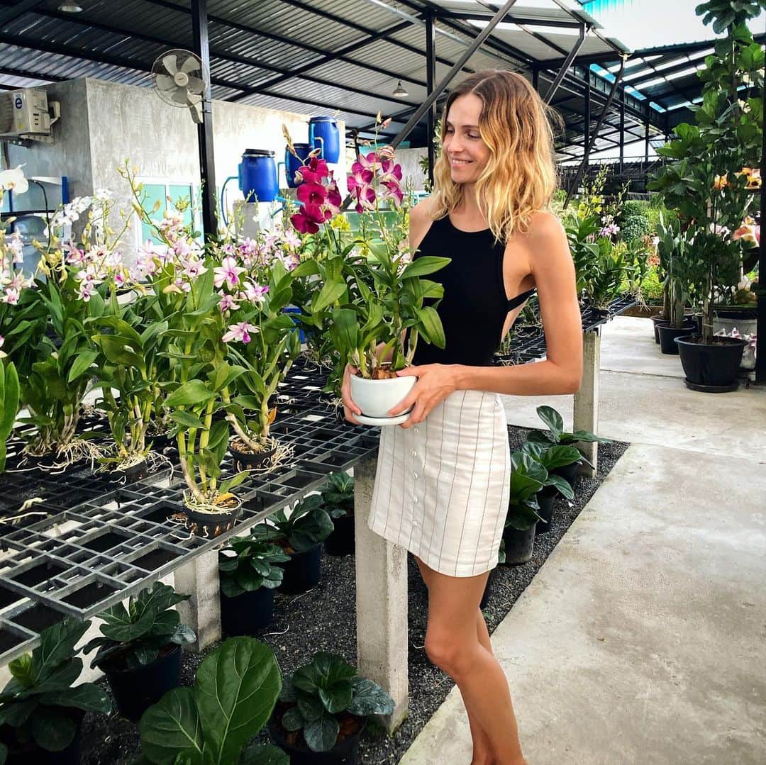 のインスタグラム：「Orchids shopping 🥰」
