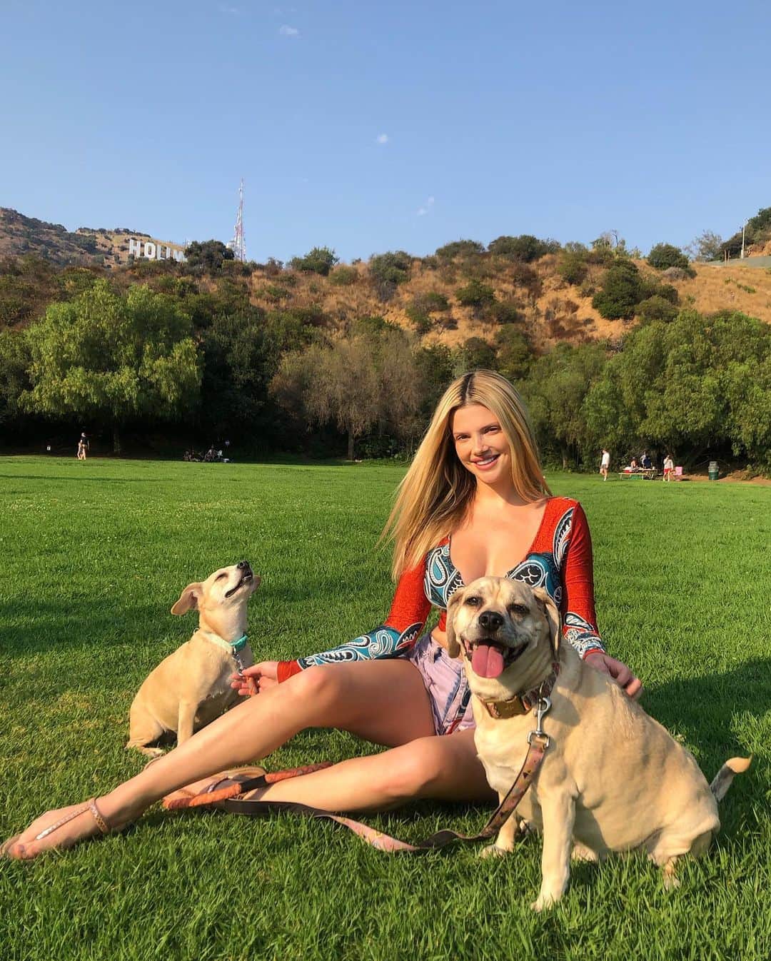 のインスタグラム：「Dog mom💚🤗☀️」