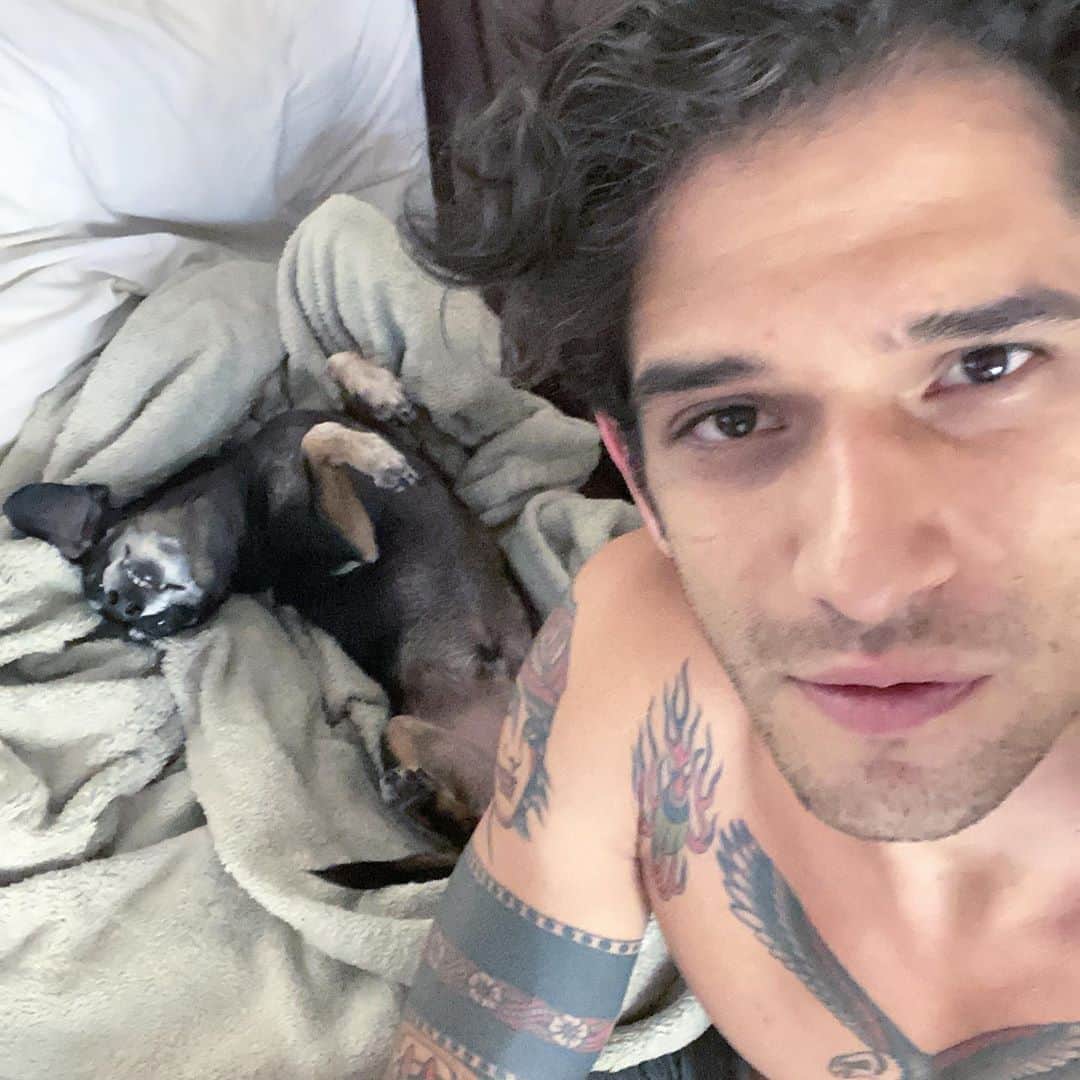 タイラー・ポジーのインスタグラム：「Can’t. Stop. Napping.」