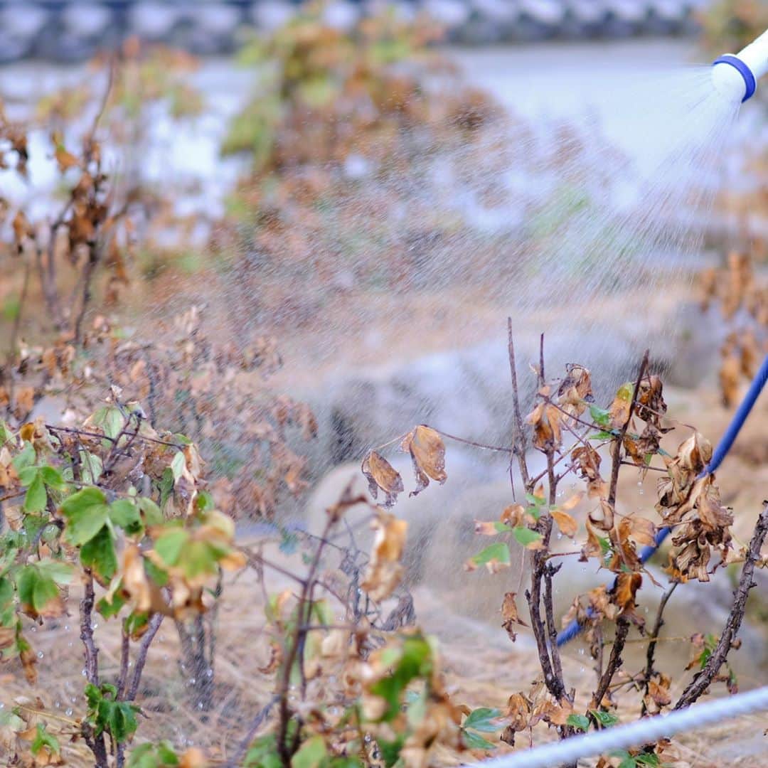 奈良 長谷寺 / nara hasederaのグルメインスタ