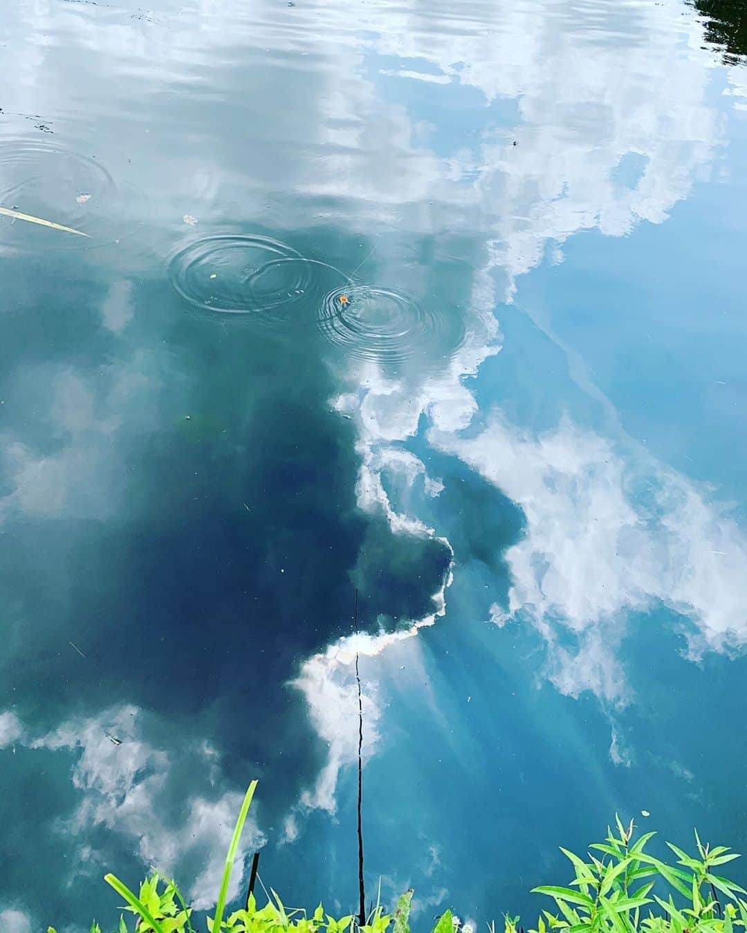 奥菜恵さんのインスタグラム写真 - (奥菜恵Instagram)「#水面  #夏空 #つり #2020  #nature」8月24日 16時56分 - megumi_okina