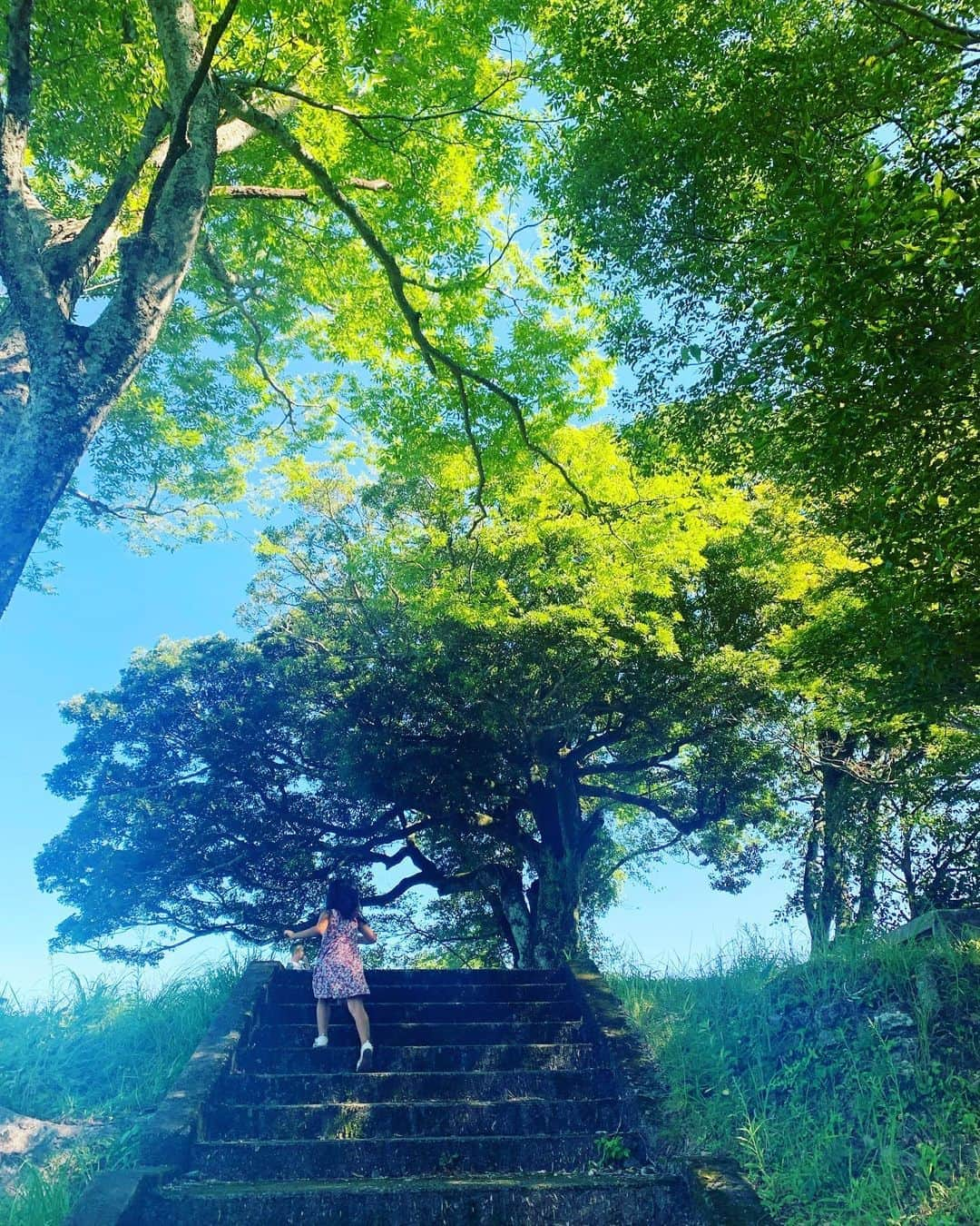 齊藤美絵さんのインスタグラム写真 - (齊藤美絵Instagram)「たくさんのサインを 感じながら過ごした夏🎐  今朝、窓を開けて感じた風に 秋の訪れを感じ、 氣持ちも切り替わりました。  昨日は、処暑。  人生どこで何が起こるか 分からなくて、 日々色んなことが起きていますが その瞬間、瞬間を楽しむこと。 その瞬間、瞬間自分の感じる 「心地良い」を選択すること。 そして、時に休み、間も味わうこと。  成長という階段を 力強く上っていく娘の側で、 私に出来ること。  この期間のお役目を 丁寧に務め、努めていこう。  全ては起こるべくして起きている。  #秋の風　#育児　#childcare #地球に寄り添った暮らし方 #地球に寄り添った暮らし　#🌏　#ツタエルヒト。」8月24日 8時25分 - saitomie