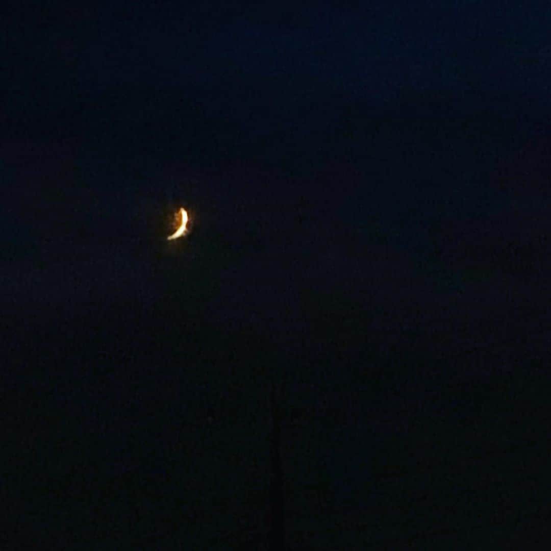 のインスタグラム：「細くても強く輝いていた月🌙  みなさまいかがお過ごしですか？ インスタの更新が まちまちになっちゃって ごめんなさい。 マイペースではありますが 上げていけたらなと思います。  こういう状況の中ではありますが みなさまどうかお元気で…」