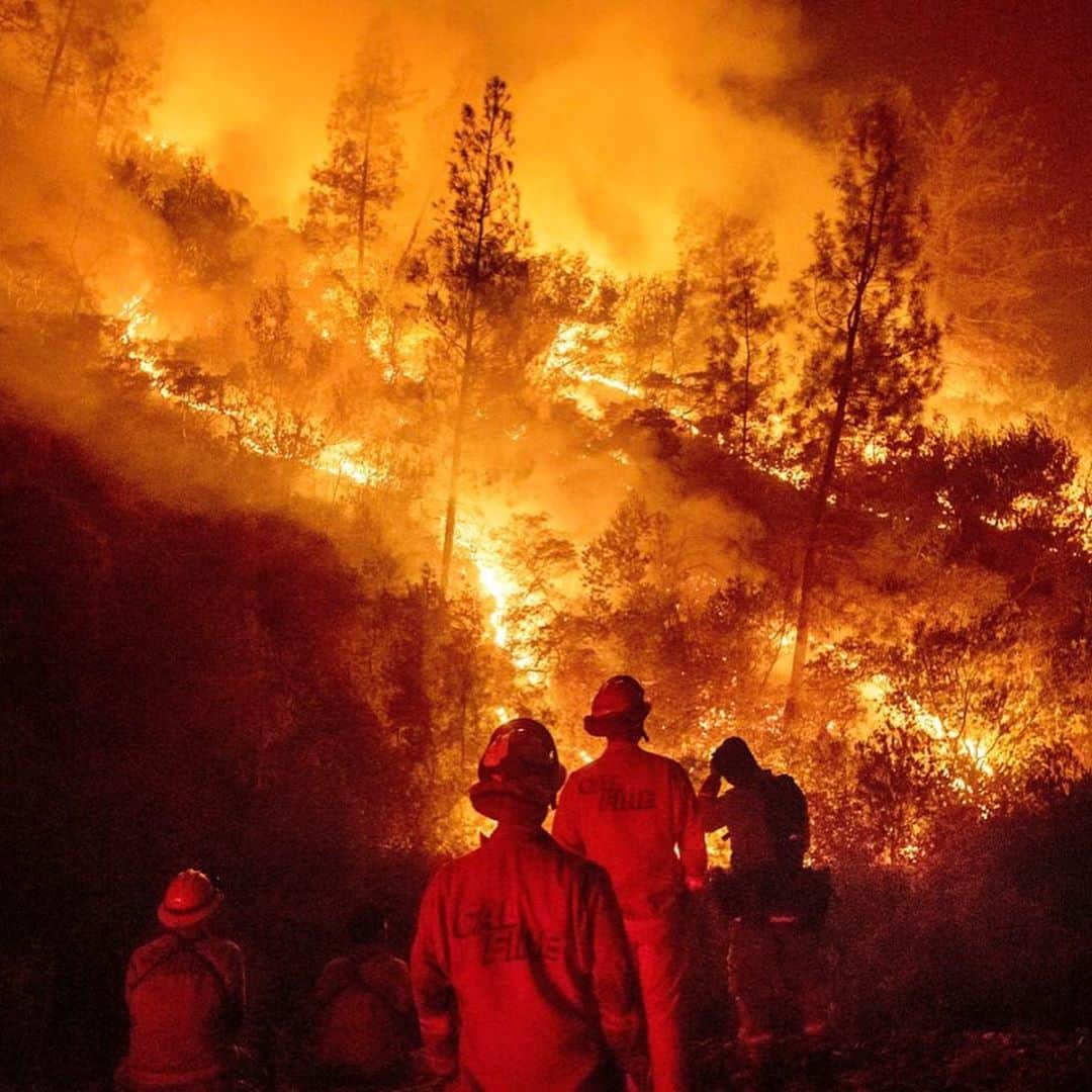 ティモシー・サイクスのインスタグラム：「⚠️GRAPHIC CONTENT & NEW FUNDRAISER LINK IN @karmagawa BIO⚠️ We started a new fundraiser where 100% of funds raised will support firefighters, locals and animals affected by the California wildfires that are currently raging out of control. Now 100,000+ people have been evacuated, millions of animals are at risk & 14,000+ firefighters are battling more than 600 blazes for the past week & 1.1 million acres of land have burnt, 3x more land burnt than in ALL of 2019! The LNU Lightning Complex is now the 2nd largest wildfire in California history, burning 341,243 acres & the SCU Lightning Complex is the state’s 3rd largest fire ever with 339,968 acres burnt. The forecast sadly predicts drier weather Sunday evening with erratic wind gusts, which is a firefighters worst nightmare as it could spur dangerous, sudden changes in fire direction so please join us in praying for all the brave #firstresponders and let’s all use our social media platforms for good by sharing this post with your followers and tagging people, influencers, celebrities and news media that need to see this as we MUST get more help for these fire victims! All donations great and small are most appreciated for our new fundraiser to help @calfire firefighters, the thousands of evacuated families & to help pay for the vet bills of the animals that are sadly being burnt but saved by great charities like @ucdavisvetmed @charliesacres @herdandflockanimalsanctuary so let’s work together to help them all NOW! #californiafires #wildfires #savetheanimals #prayforcalifornia #karmagawa」