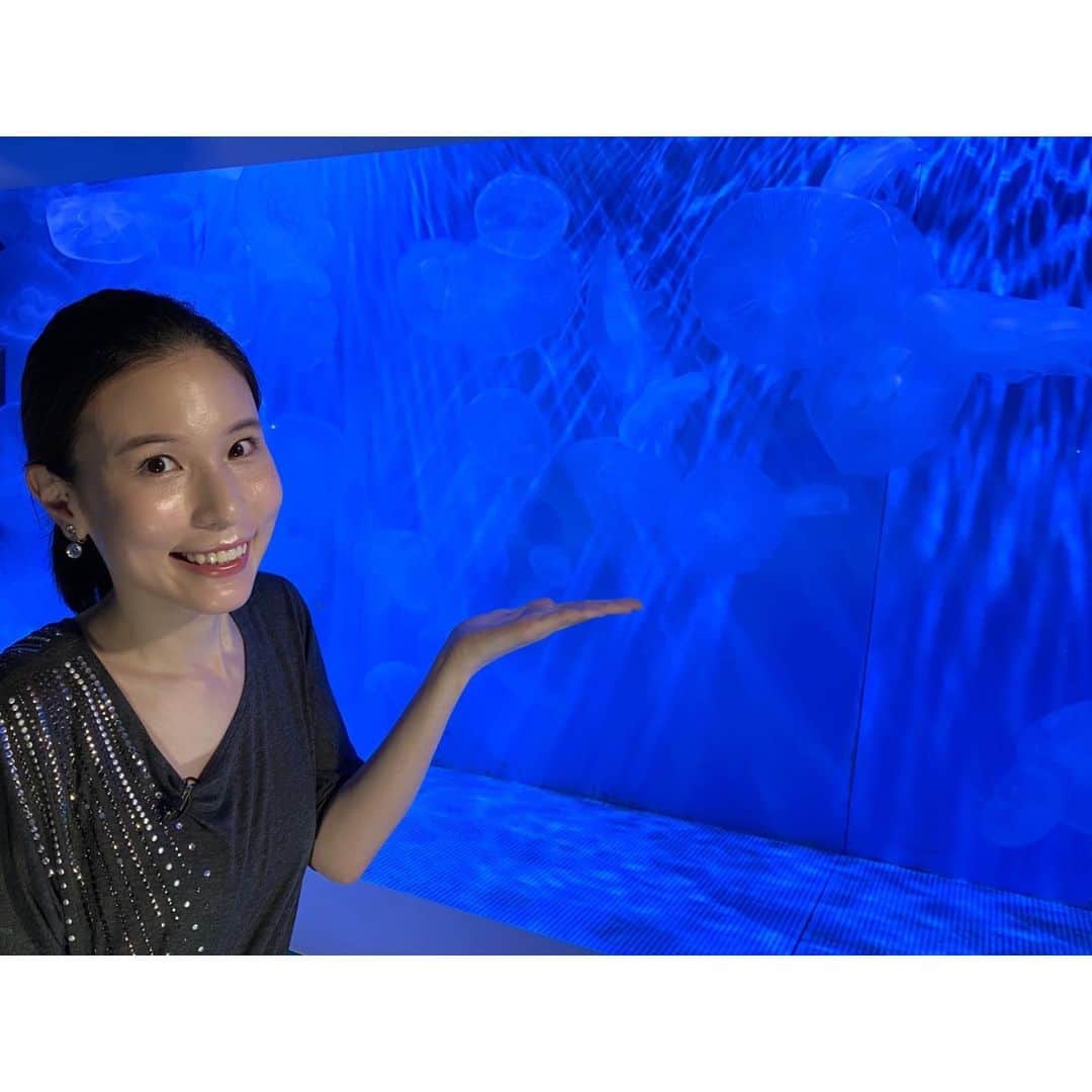 芦崎愛さんのインスタグラム写真 - (芦崎愛Instagram)「ハマナビで涼しく癒されるをテーマに八景島へ！ 優雅に泳ぐお魚やクラゲの姿はとっても涼しげでした😌 #八景島 #水族館 #クラゲ」8月24日 9時30分 - mana_ashizaki