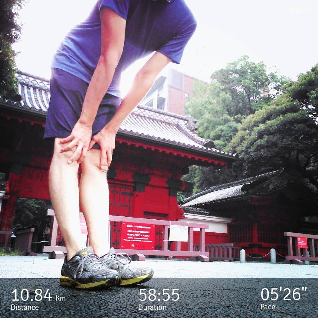 尾上緑のグルメインスタ