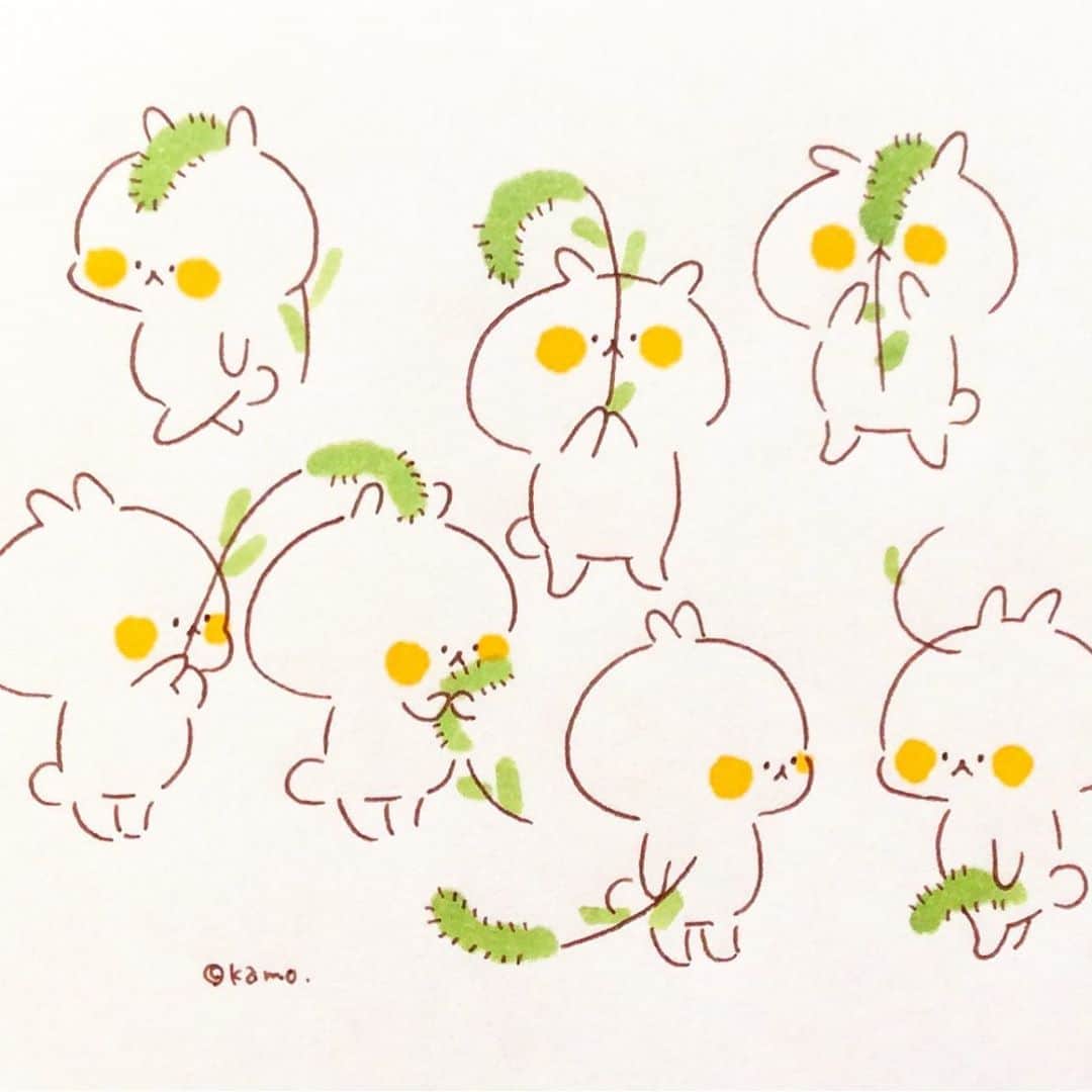 のインスタグラム：「猫じゃらし #猫じゃらし#エノコログ#foxtailgrass#イラスト#illustration#ウサギタケ#usagitake」